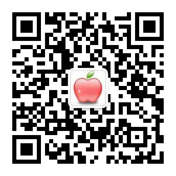 pp电子有限公司的产品类型